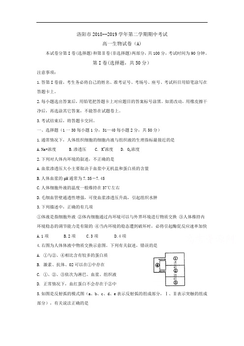 河南省洛阳市2018-2019学年高一生物下册期中试题