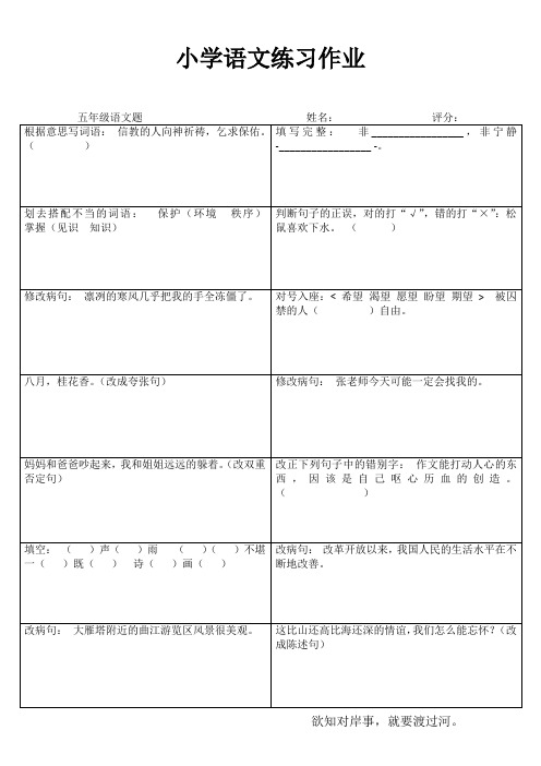 小学五年级语文自我提高I (26)