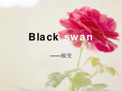 Black swan