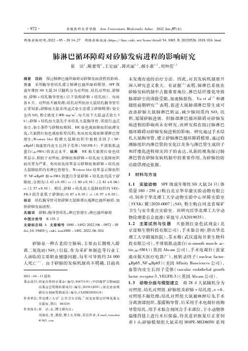 肺淋巴循环障碍对矽肺发病进程的影响研究