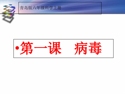 青岛版六年级上册科学1病毒课件