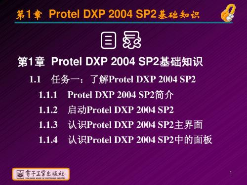 DXP 教程