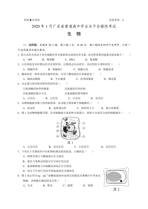 2020年1月广东省普通高中学业水平合格性考试   生物(试卷和答案)