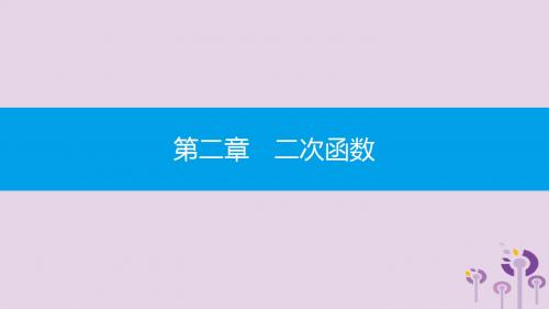 九年级数学下册 第二章 二次函数 小专题(三)二次函数