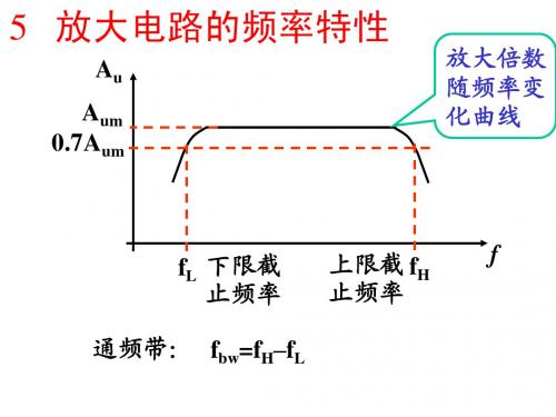 频率特性