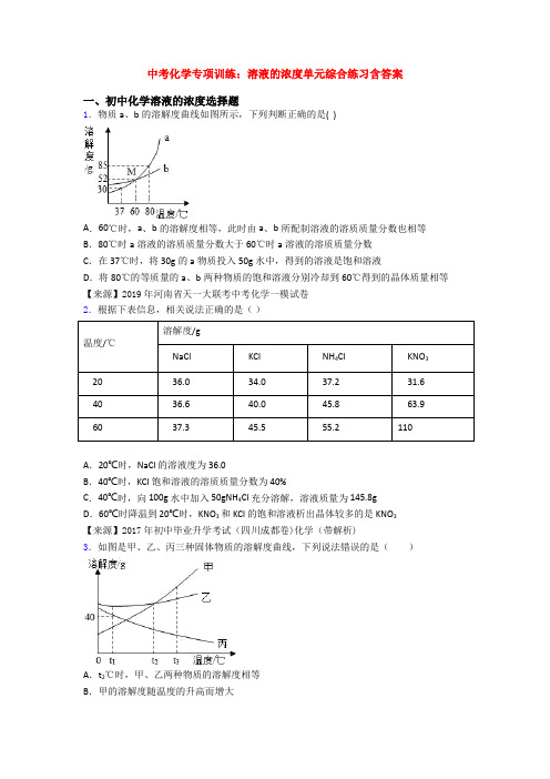 中考化学专项训练:溶液的浓度单元综合练习含答案