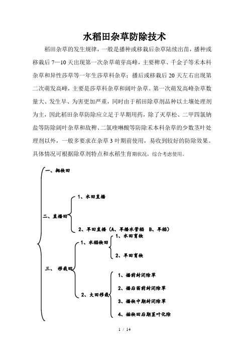 水稻田杂草防除技术(张茂九)