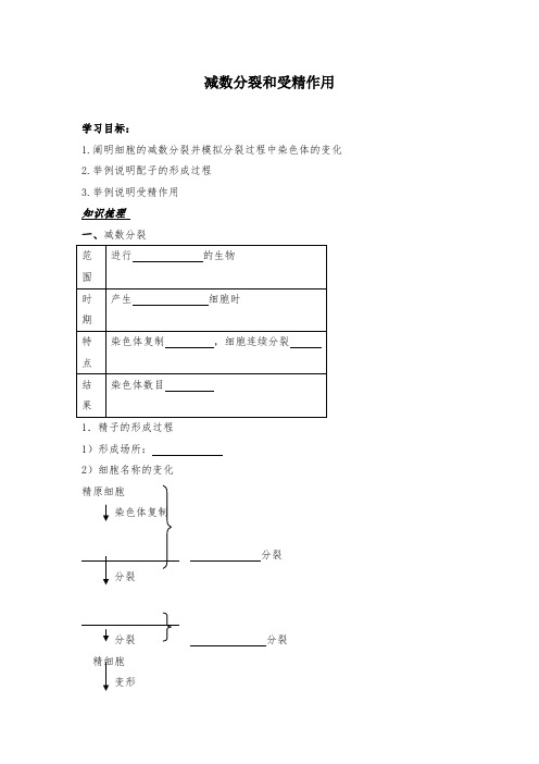 2019高中生物减数分裂和受精作用导学案