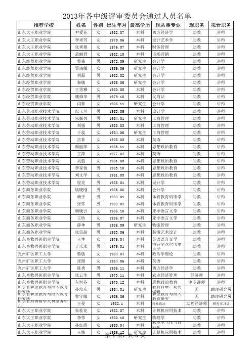 2013年各中级评审委员会通过人员名单