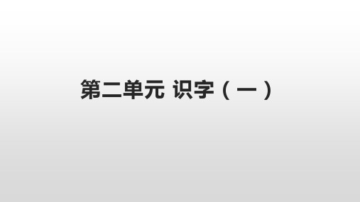 统编版语文二年级上册第二单元 识字单元 课件(共14张PPT)