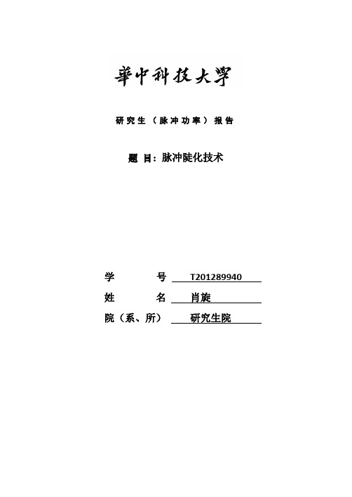脉冲陡化技术研究