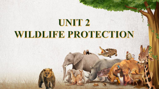 《Wildlife Protection》PPT优秀教学课件