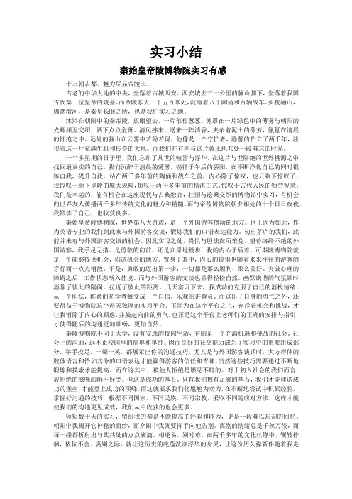 秦始皇兵马俑实习报告