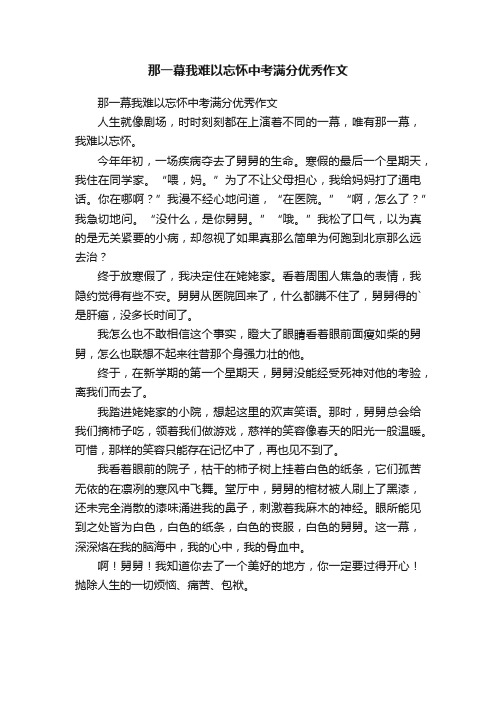 那一幕我难以忘怀中考满分优秀作文