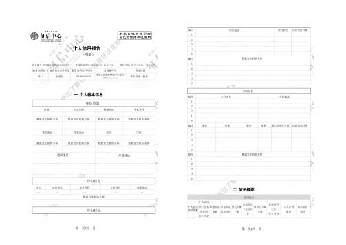 个人征信报告模板征信报告模板(2019带水印)