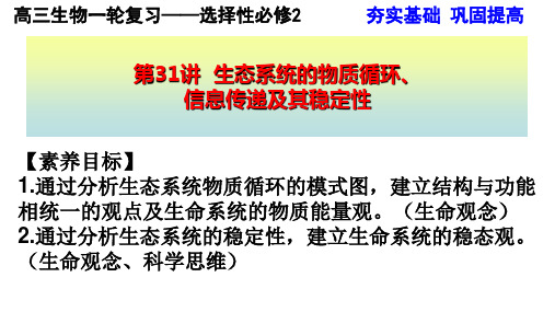 高三生物一轮复习——选择性必修2  第31讲  生态系统的物质循环、 信息传递及其稳定性