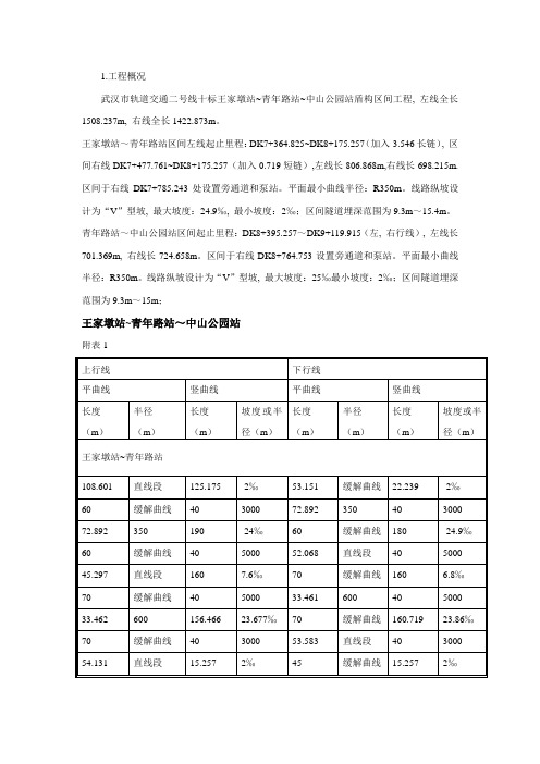 洞门凿除专项方案