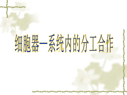 细胞质：细胞膜以内、细胞核以外的原生质,活细胞的细胞质处于流动