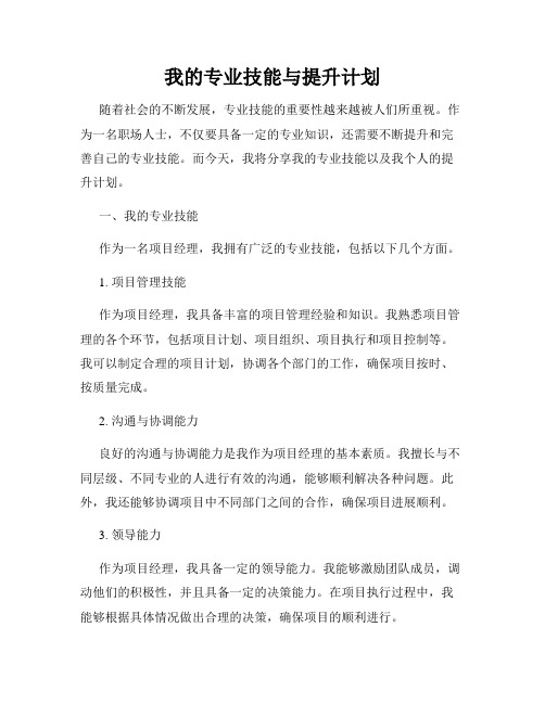 我的专业技能与提升计划