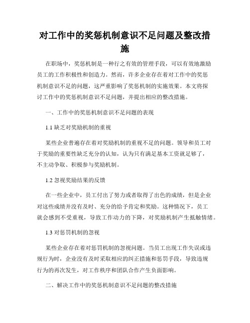 对工作中的奖惩机制意识不足问题及整改措施