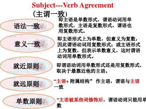 高中英语主谓一致(44张PPT)