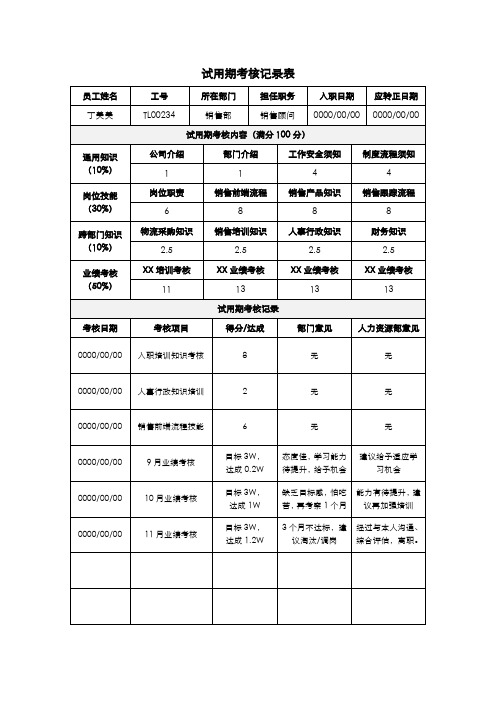 试用期考核记录表