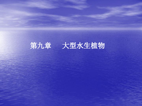 第九章_ 大型水生植物