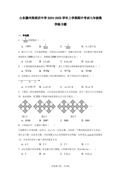 山东滕州柴胡店中学2024-2025学年上学期期中考试七年级数学练习题