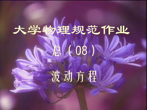 大学物理规范作业(本一)08解答