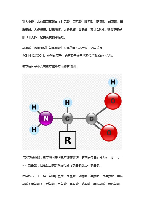 非必需氨基酸有几种