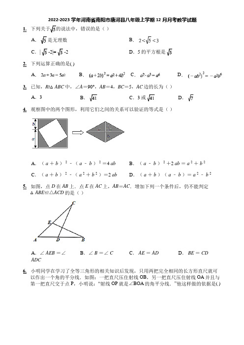 2022-2023学年河南省南阳市唐河县八年级上学期12月月考数学试题