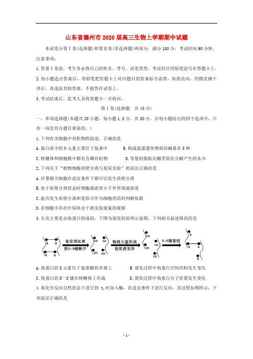 山东省德州市2020届高三生物上学期期中试题