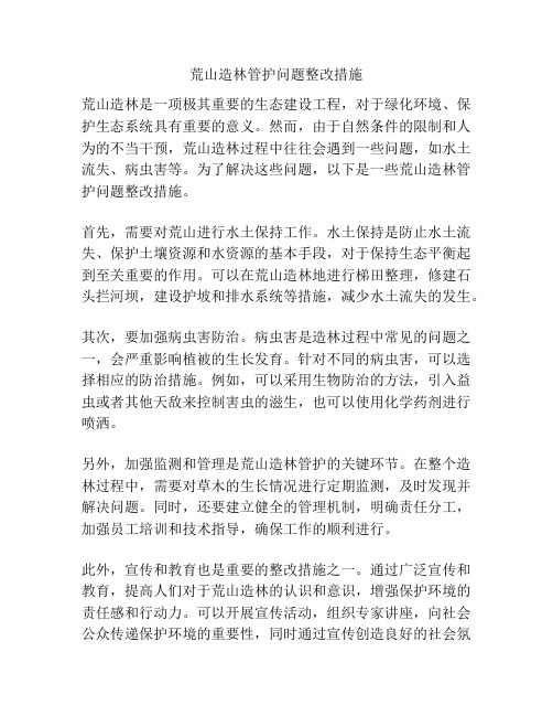 荒山造林管护问题整改措施