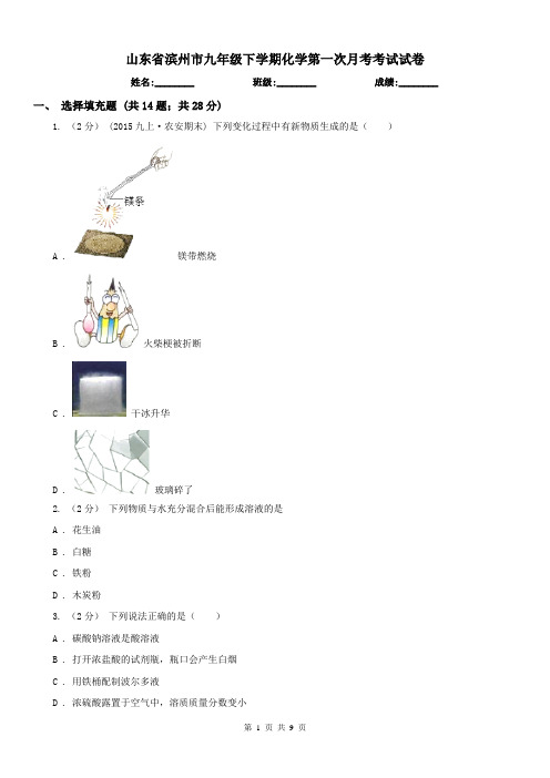 山东省滨州市九年级下学期化学第一次月考考试试卷