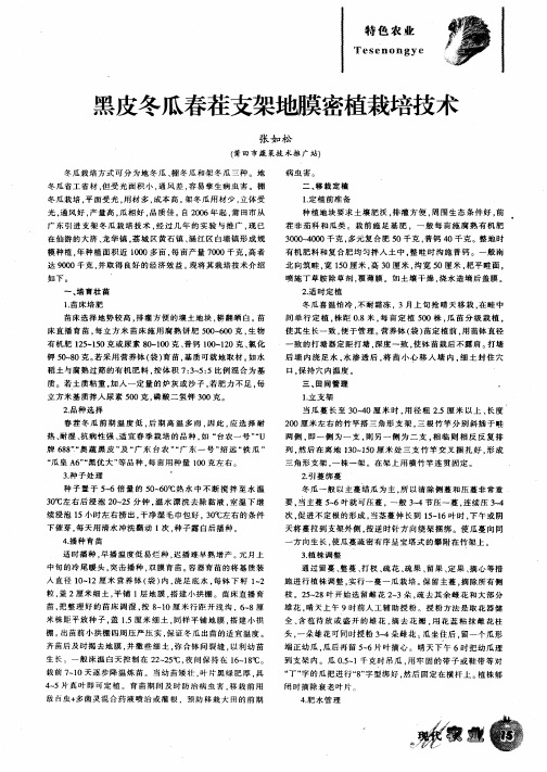 黑皮冬瓜春茬支架地膜密植栽培技术