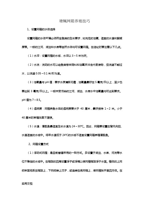 塘鲺网箱养殖技巧