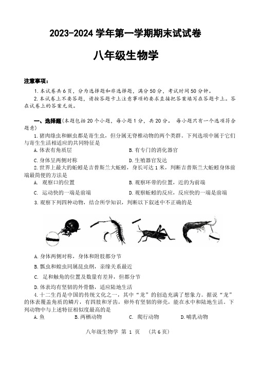 2023-2024学年河南省濮阳市人教版八年级上册期末生物试题(含答案)