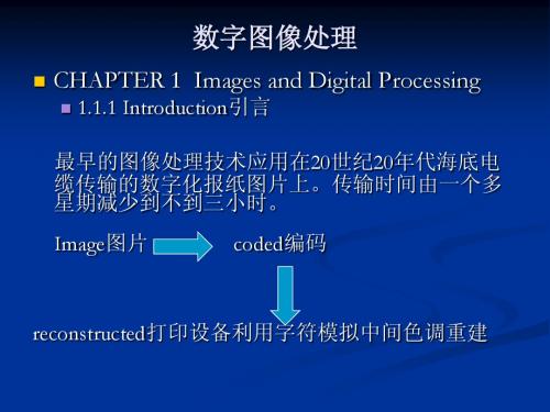 CH1 图形及数字处理