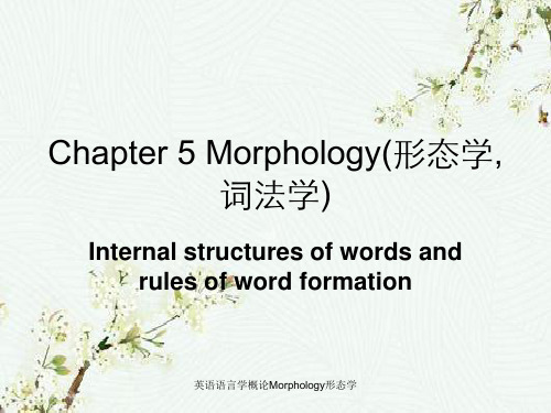 英语语言学概论Morphology形态学