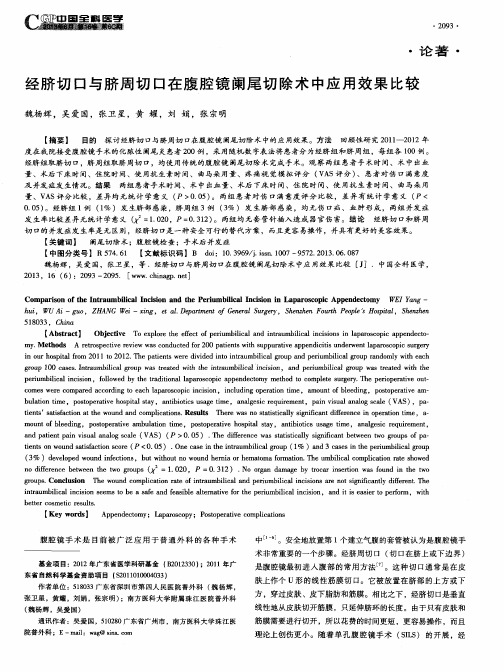 经脐切口与脐周切口在腹腔镜阑尾切除术中应用效果比较