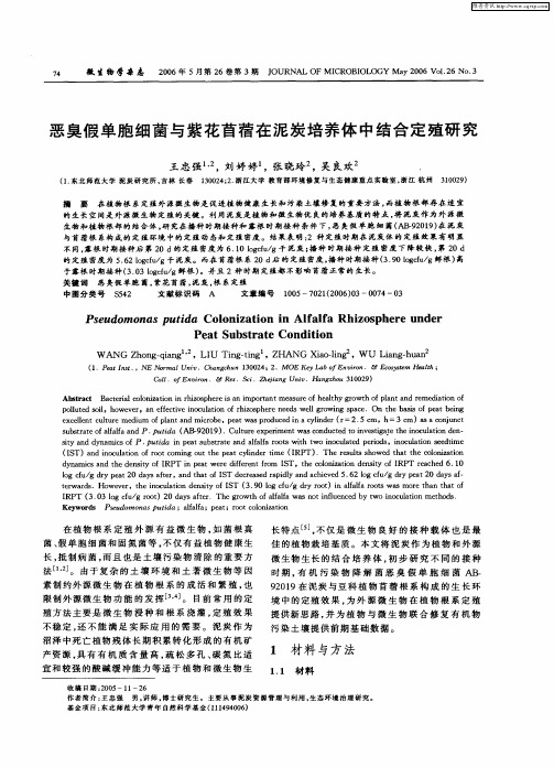 恶臭假单胞细菌与紫花苜蓿在泥炭培养体中结合定殖研究