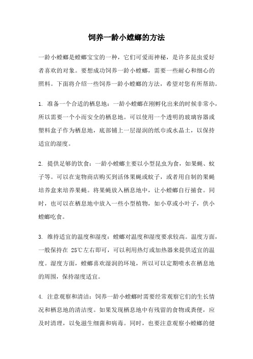 饲养一龄小螳螂的方法