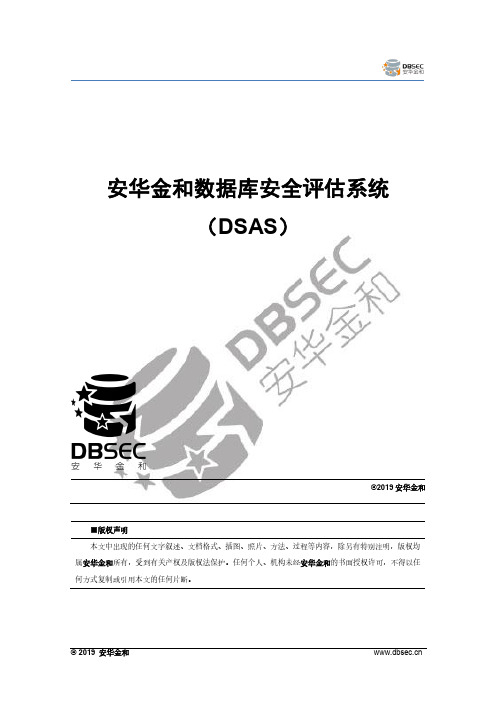 安华金和数据库安全评估系统(DSAS)