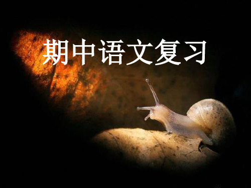 部编版人教版八年级语文下册语文期中复习课件