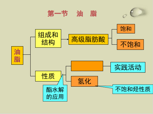 油脂PPT下载31