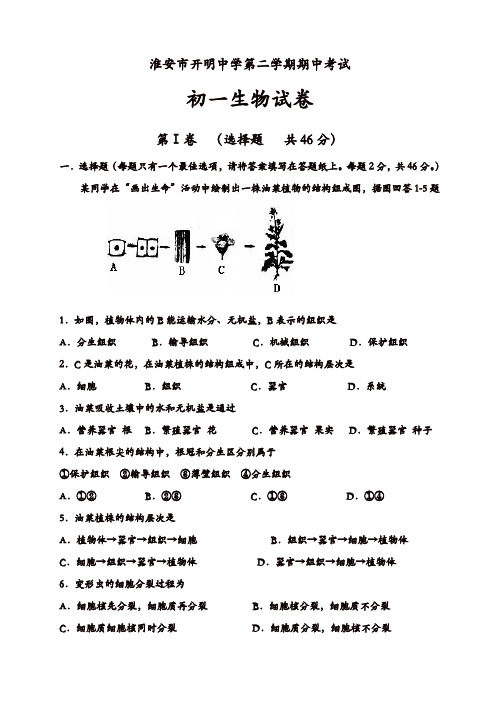 江苏省淮阴中学开明分校七年级生物下册期中考试试卷[精品]