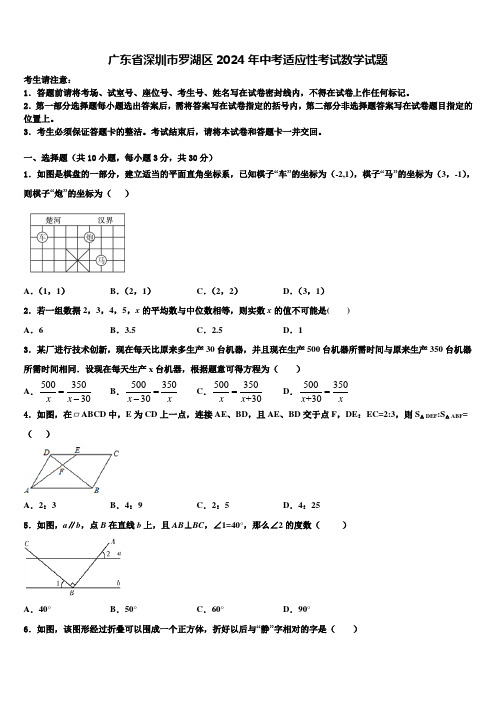 广东省深圳市罗湖区2024届中考适应性考试数学试题含解析