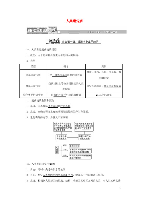 2024高中生物第5章第3节人类遗传病教案新人教版必修2