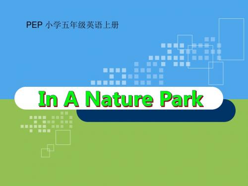 《In a nature park》PPT课件7