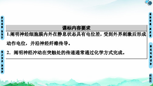 新教材神经冲动的产生和传导优质课件人教版1